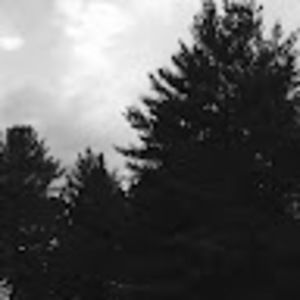 Meet your Posher, Rigney